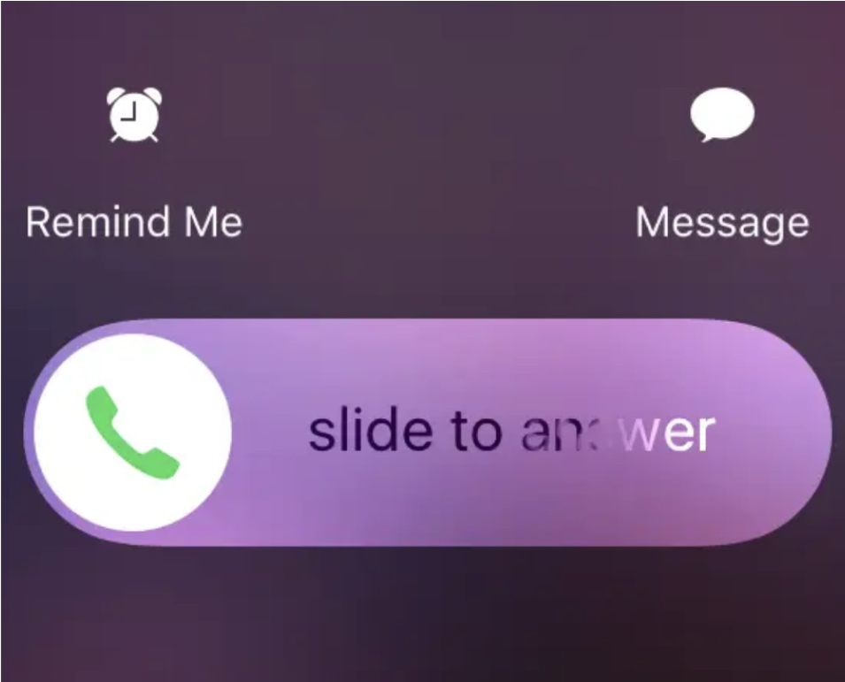 Voice and Text Interface
